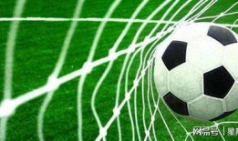 瑞士足球爆料视频大全最新,揭秘最新精彩瞬间与幕后故事