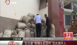 大理民生事件爆料视频大全,聚焦民生热点，揭示社会现象