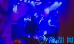 酒吧最新事件爆料视频大全,视频大全揭秘惊人真相