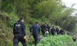 耒阳网上爆料事件最新,真相与舆论的交织