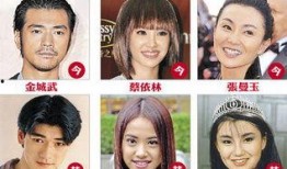 明星爆料整容视频大全最新,明星整容真相大曝光，视频大全揭秘美丽背后的秘密