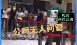 高管性侵女最新爆料,最新爆料揭露惊人内幕