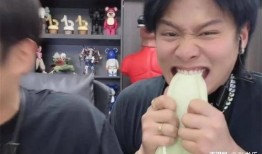 胖子爆料小杨哥视频大全,揭秘小杨哥视频大全背后的精彩故事