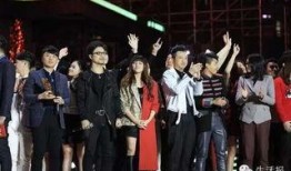 中国好声音第四季在线观看,巅峰对决，在线视听盛宴