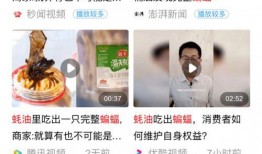 爆料海天视频,独家爆料背后的真相与内幕