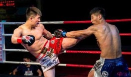 搏击兄弟在线观看,热血激战，在线热血沸腾