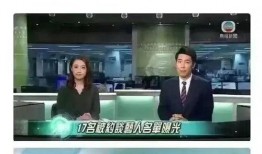 明星补税爆料视频大全最新,最新爆料视频大全深度解析