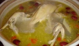 爆料母鸡汤视频大全下载,下载收藏必备攻略