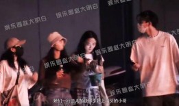 爆料刘诗诗八卦视频,揭秘娱乐圈背后的八卦风云