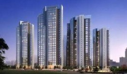 鸿阜园最新爆料消息今天,今日最新爆料，带你一探究竟！