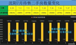 沈阳头条最新爆料,重大事件背后真相揭晓！