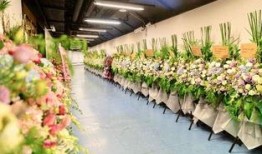 花篮网爆料最新视频大全,视频大全精彩瞬间大盘点