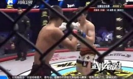 笼中女囚 在线观看,跟随笼中女囚探寻女性囚徒的内心世界