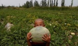 新疆吃瓜网红是谁啊图片,揭秘瓜界新宠儿的魅力风采