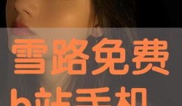 雪路 在线观看,踏雪寻踪，共赴心灵之旅